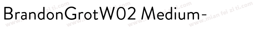 BrandonGrotW02 Medium字体转换